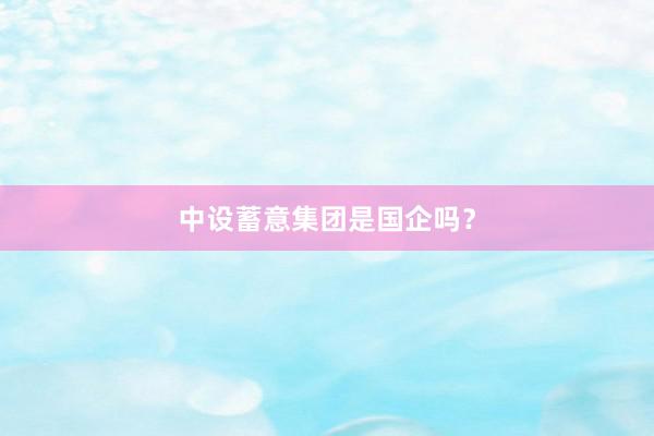 中设蓄意集团是国企吗？