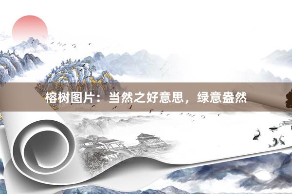 榕树图片：当然之好意思，绿意盎然