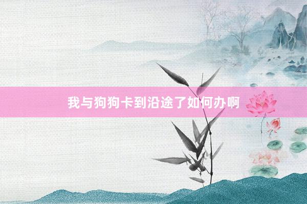 我与狗狗卡到沿途了如何办啊