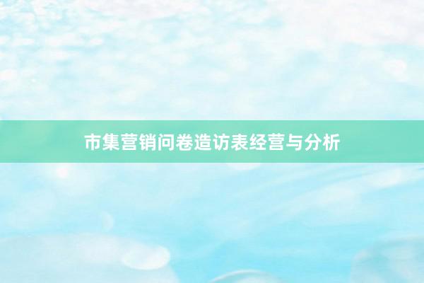 市集营销问卷造访表经营与分析